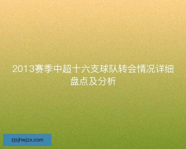 2013赛季中超十六支球队转会情况详细盘点及分析