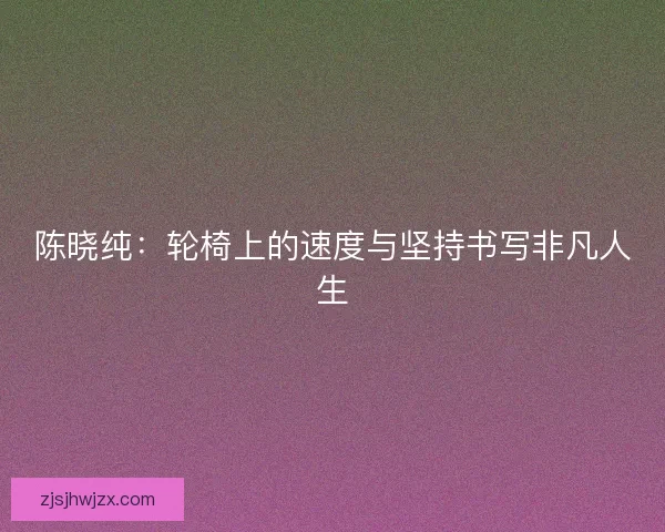陈晓纯：轮椅上的速度与坚持书写非凡人生