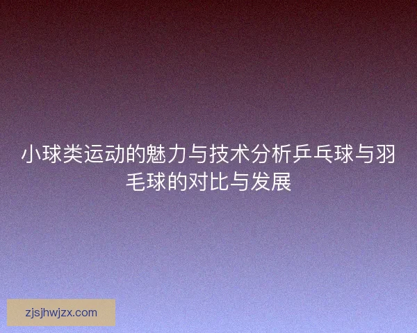 小球类运动的魅力与技术分析乒乓球与羽毛球的对比与发展 小球类运动的魅力与技术分析乒乓球与羽毛球的对比与发展