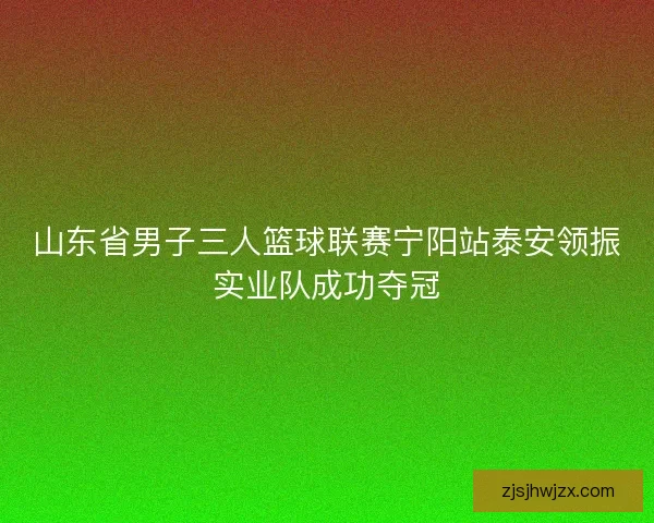 山东省男子三人篮球联赛宁阳站泰安领振实业队成功夺冠 山东省男子三人篮球联赛宁阳站泰安领振实业队成功夺冠